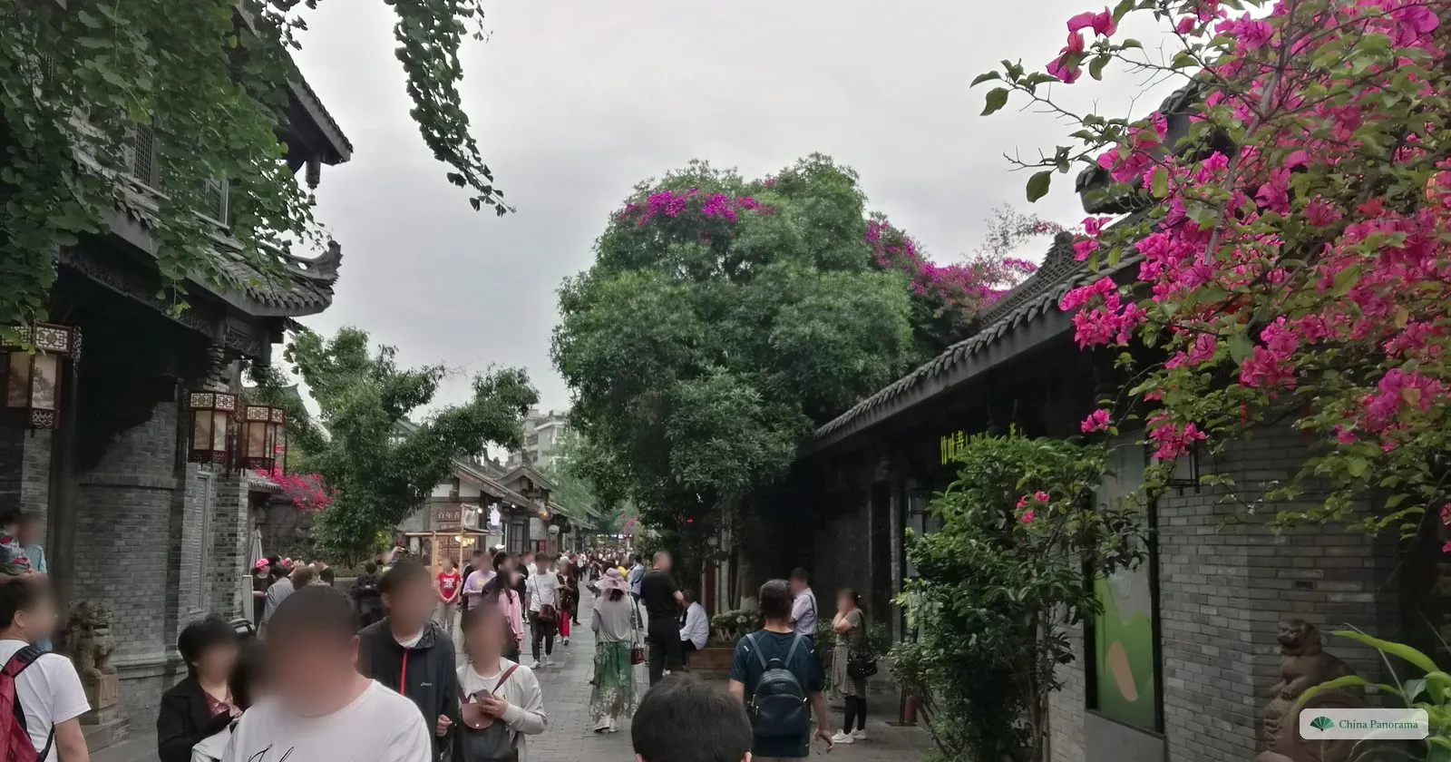 A lane of grey brick walls and tiled roofs with bright pink bougainvillea spilling over the top, a big tree and a crowd walking down the middle