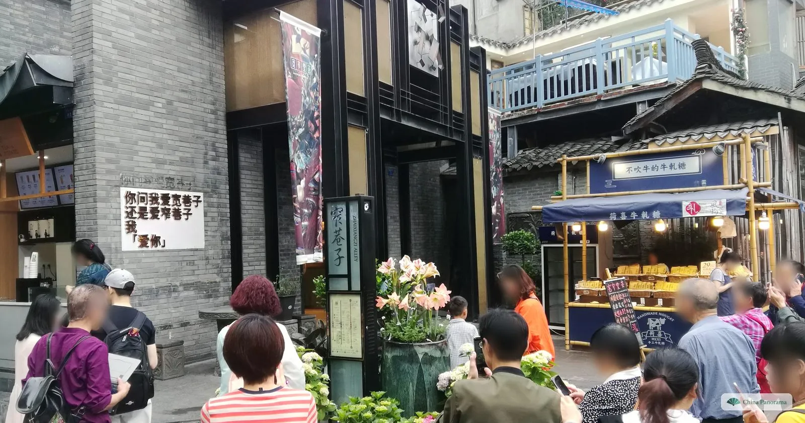 A grey brick corner with a sign joking about loving the wide or the narrow alley, a black street sign reading 窄巷子 Zhaixiangzi Alley, lilies in a pot and a nougat stall