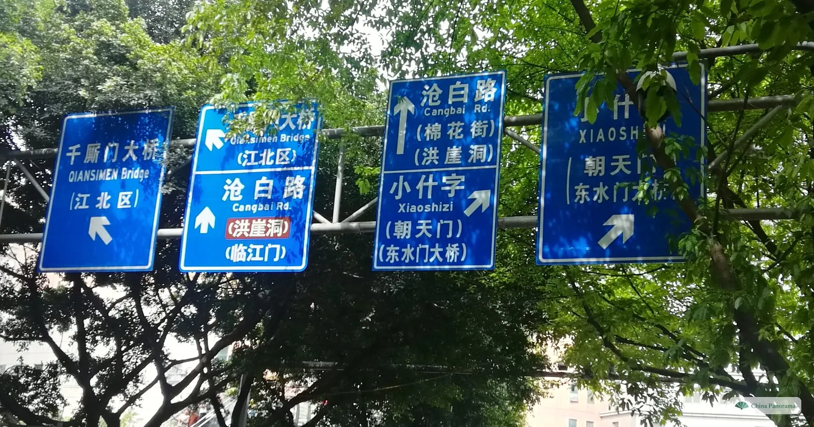 Four blue road signs under green trees on Cangbai Road: Qiansimen Bridge to Jiangbei left, Cangbai Road with Hongyadong in a red box straight on, Xiaoshizi, Chaotianmen and Dongshuimen Bridge to the right