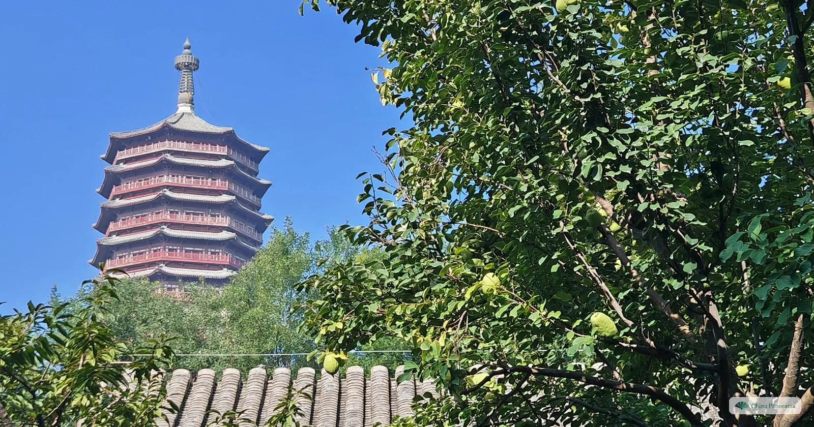 The multi-storey Yongding Tower seen over a tiled roof and a fruit tree from the hill garden of the Museum of Chinese Gardens