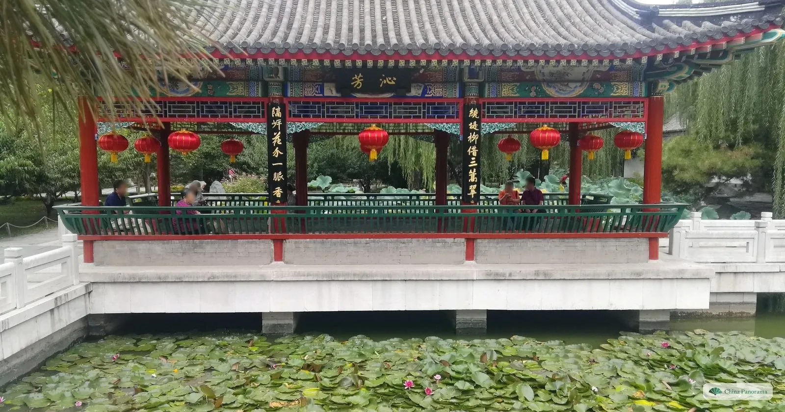 An open waterside hall hung with red lanterns on a white stone terrace above a pond of water lilies in Grand View Garden