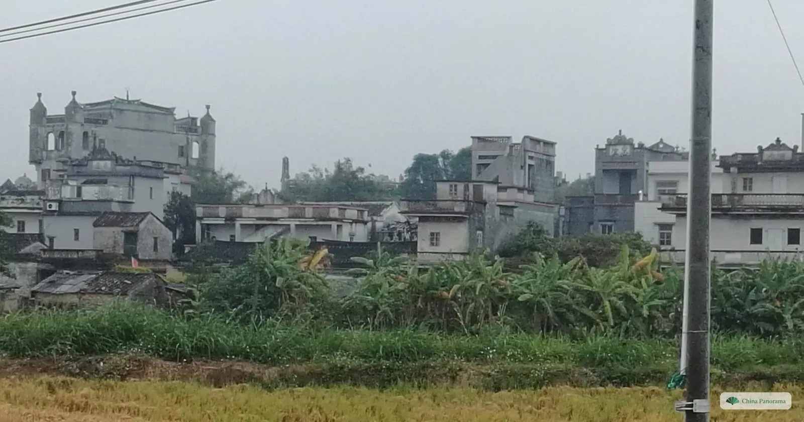 A village near Kaiping with several diaolou towers and old houses behind a field of banana plants and rice stubble, under a grey sky
