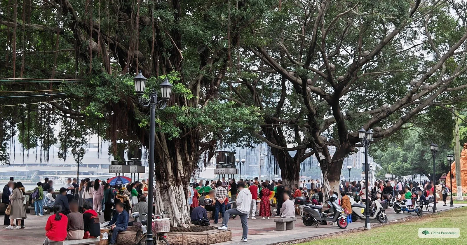 Huge banyan trees on the riverside of Shamian Island, with a large crowd of local people gathered beneath them around loudspeakers on stands