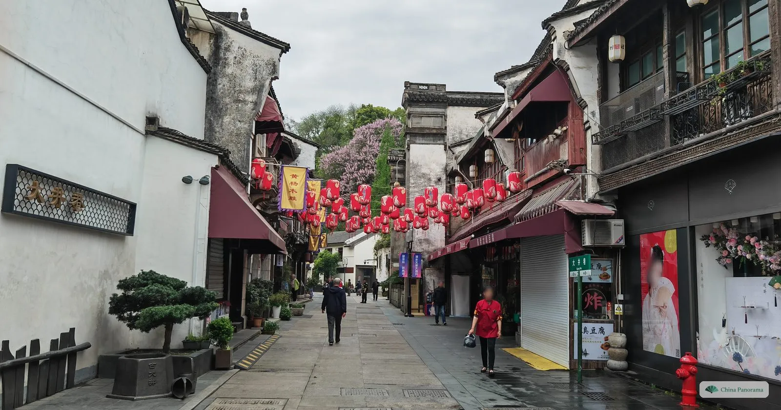 A quiet paved lane between whitewashed houses and wooden shopfronts, strings of red lanterns overhead and a bonsai pine