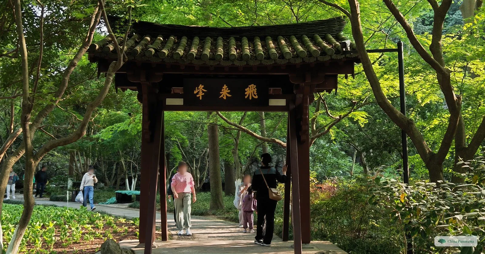 A small wooden gate with a plaque of three characters on a garden path among bright green trees