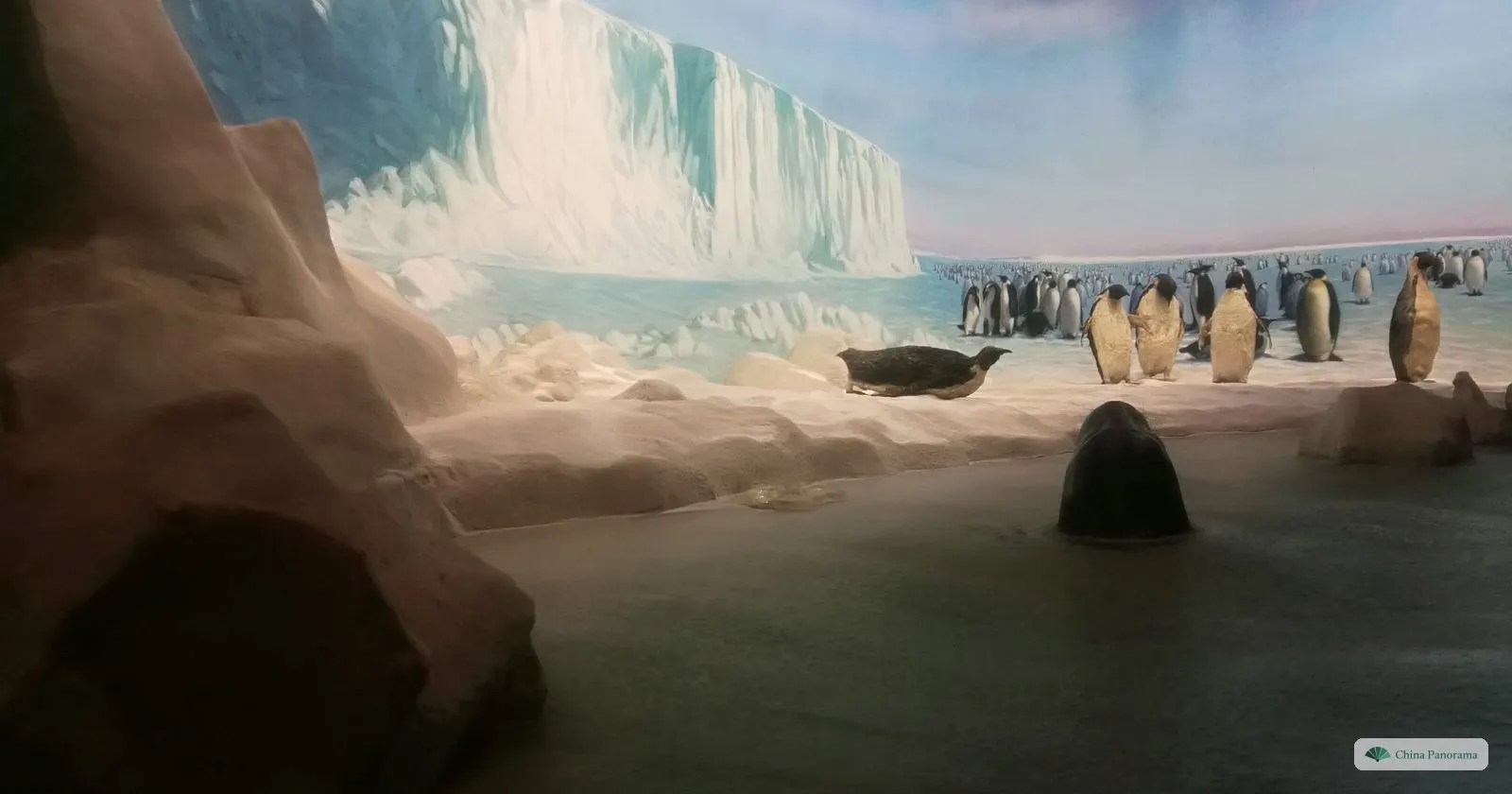 A museum diorama of penguins on an icy shore in front of a painted glacier