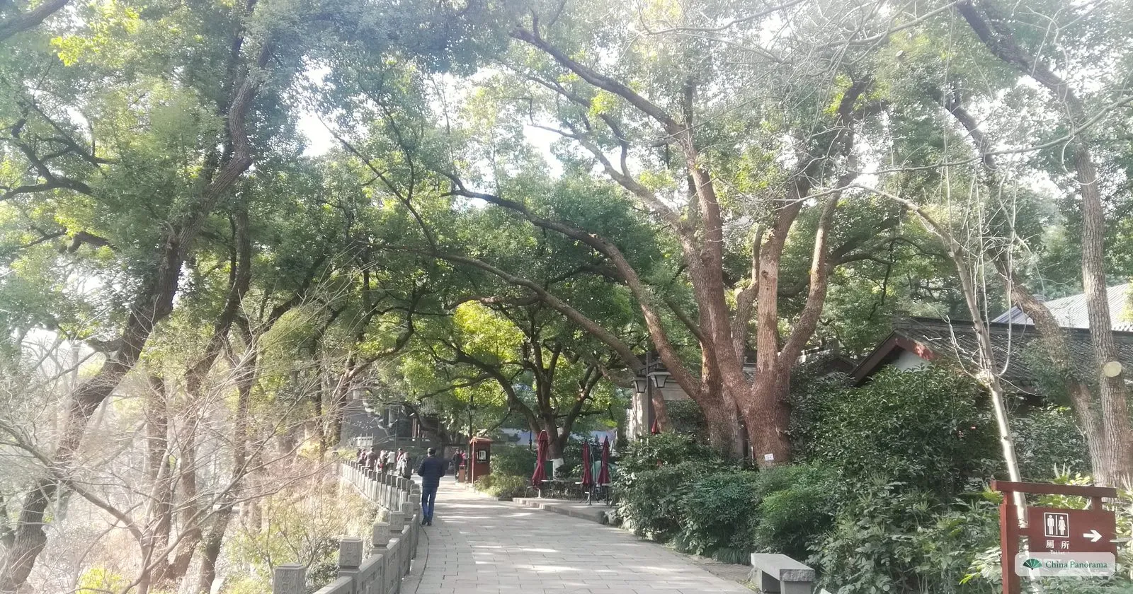 A paved path along a stone balustrade under old trees in winter light, a few people walking