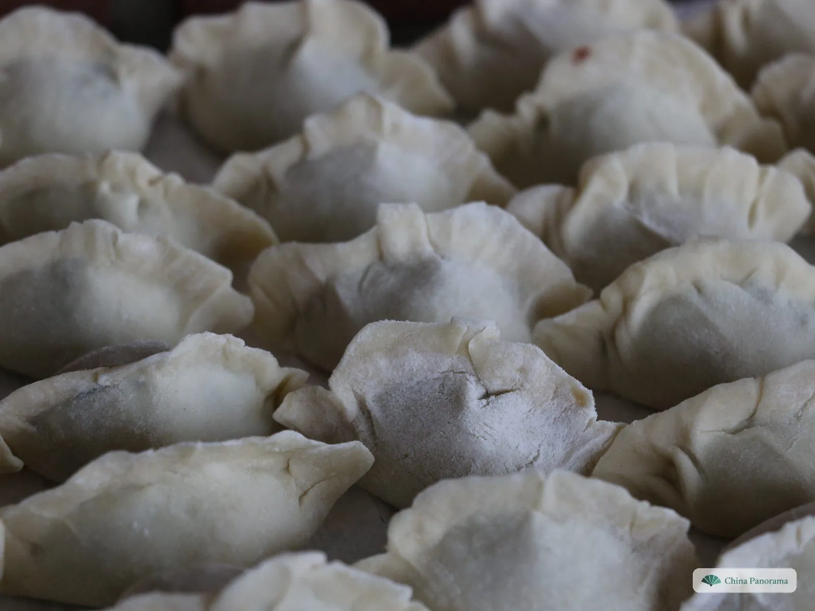 Rows of raw, pleated dumplings dusted with flour, standing close together on a tray