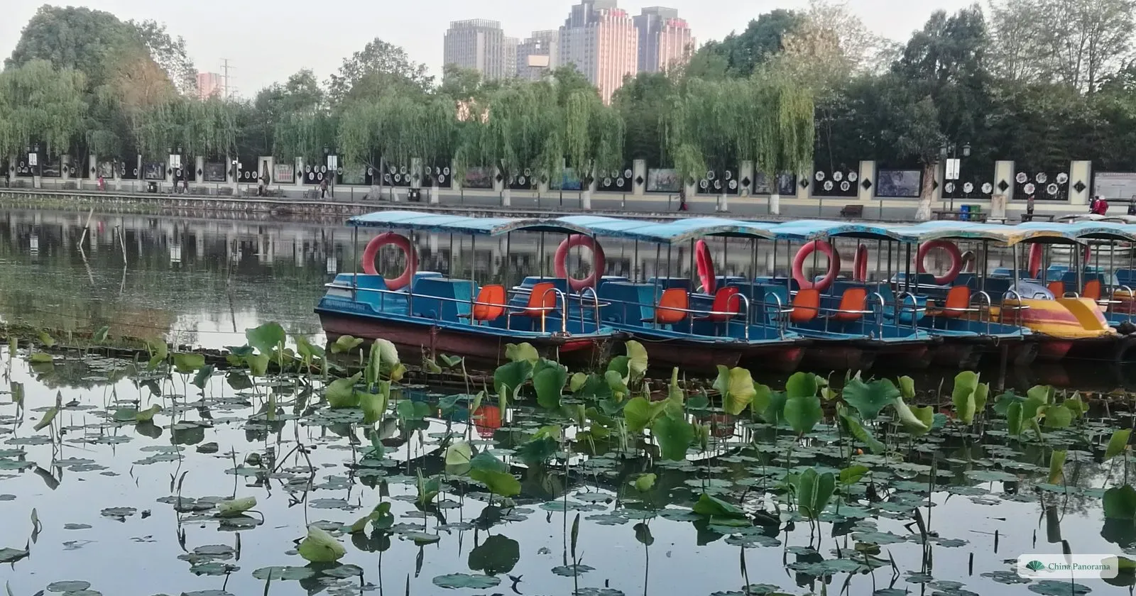 Blue-roofed pedal boats moored beside a pond covered with lotus leaves, willows along the far bank