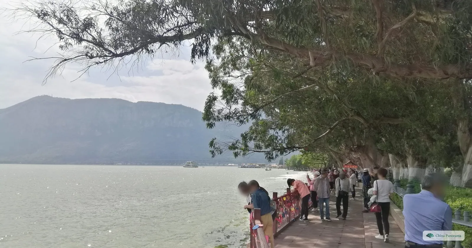 A lakeside promenade under leaning eucalyptus trees, a railing hung with red ribbons, people looking out over the water to a mountain ridge