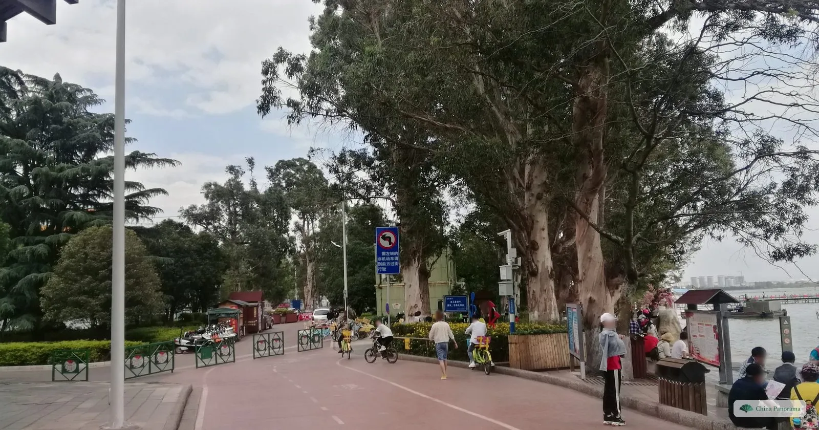 A broad road beside tall eucalyptus trees with cyclists and stalls, a lake glimpsed on the right
