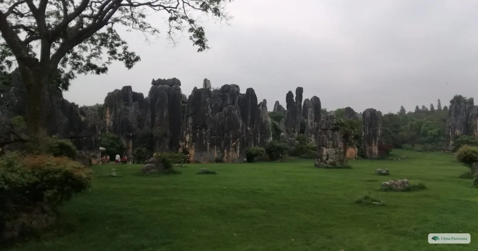 A wide mown meadow with low grey rock formations along the far side