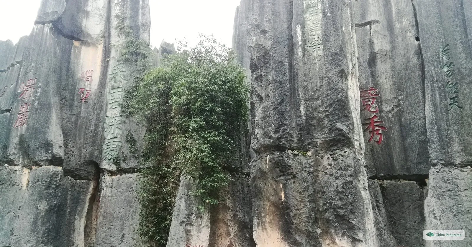 Vertical grey rock faces carved with red calligraphy, a curtain of creeper hanging between them