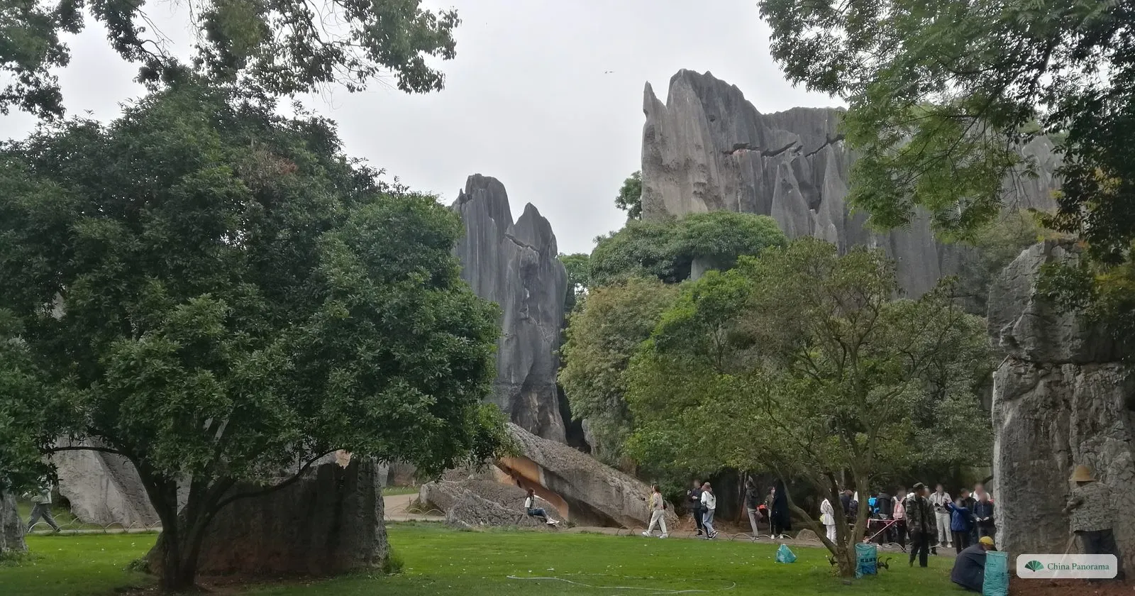 A spreading tree on a lawn in front of tall grey rock walls, people walking along a path