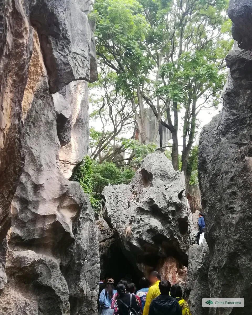 A narrow gap between two rock walls, trees growing in the light beyond