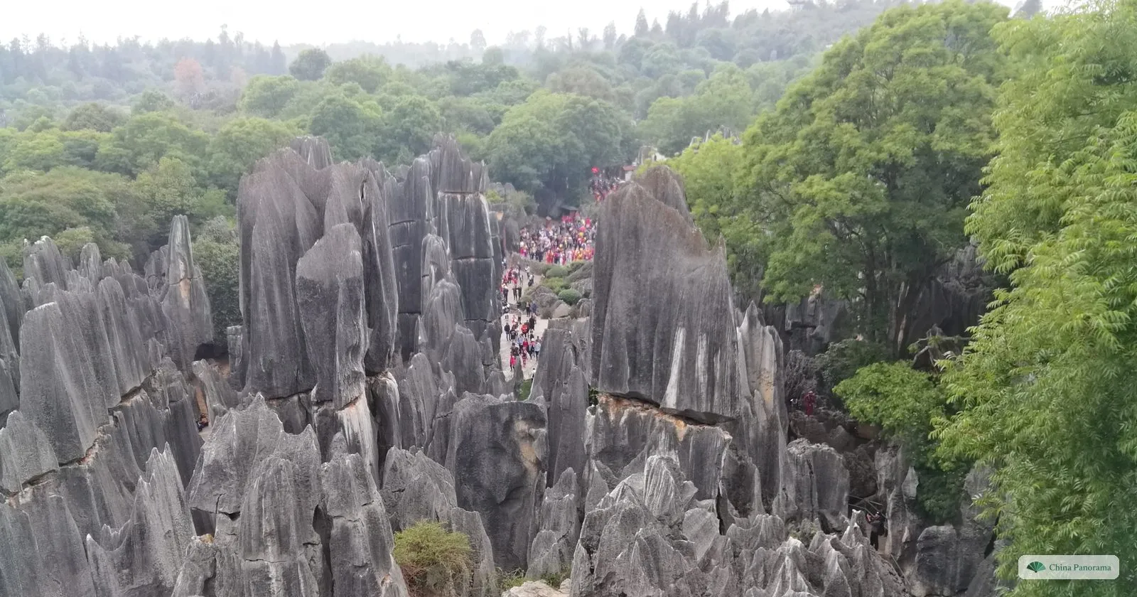 Looking down over grey limestone pinnacles in the Stone Forest, a crowd on a path between them
