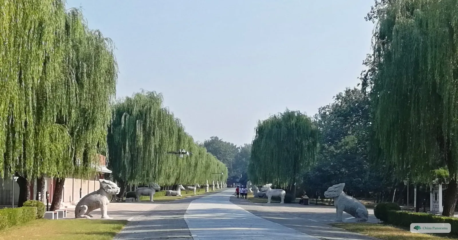 The Sacred Way of the Ming Tombs lined with weeping willows and stone animals, almost empty in the morning
