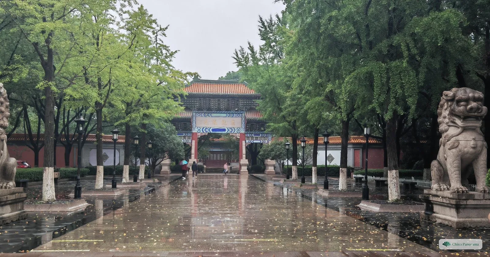A wet avenue between stone lions and ginkgo trees leading to a painted gateway with a red wall behind, in the rain