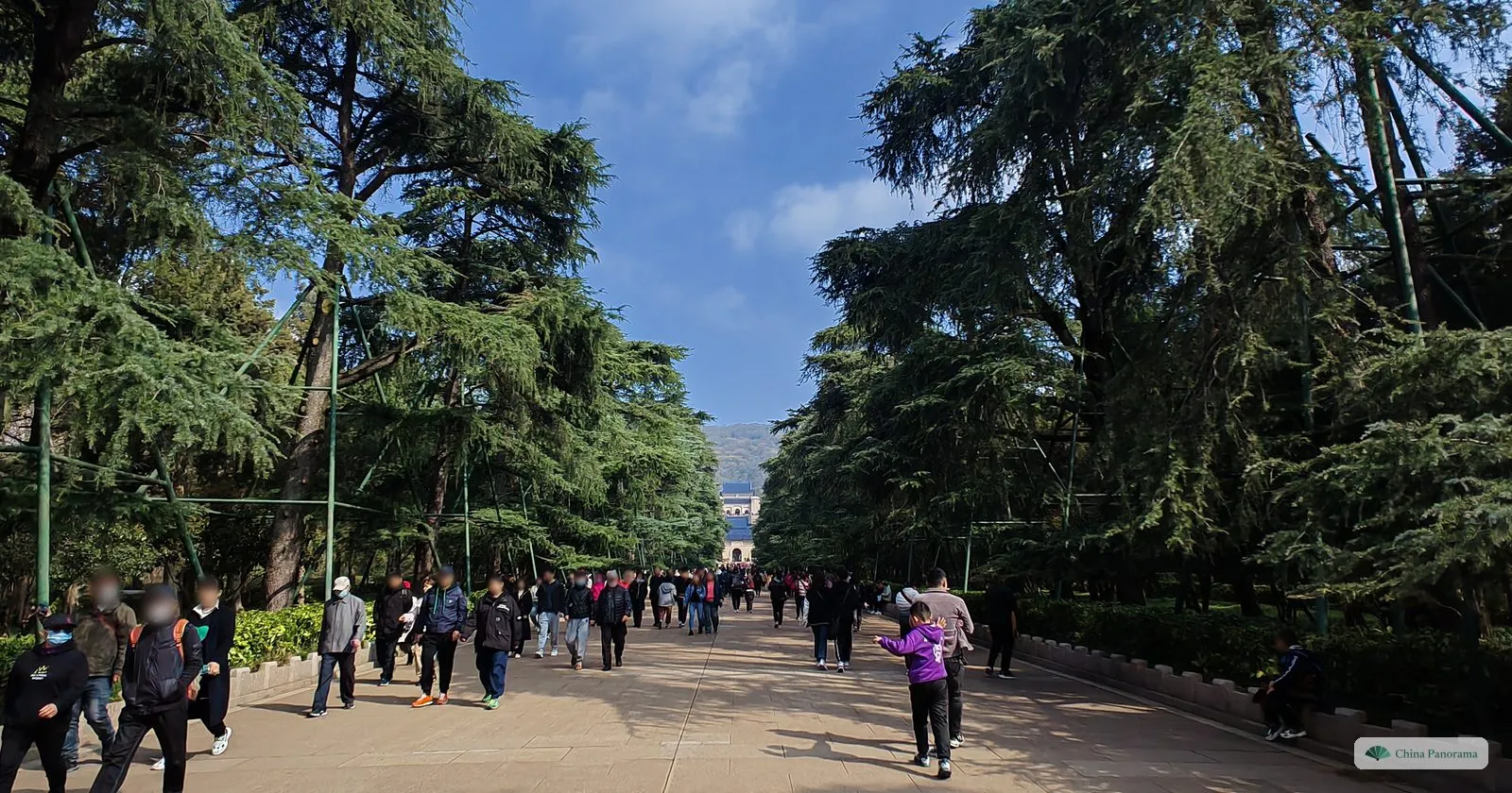 A broad paved avenue between dark cedars, crowds walking uphill towards a distant gate with a blue roof