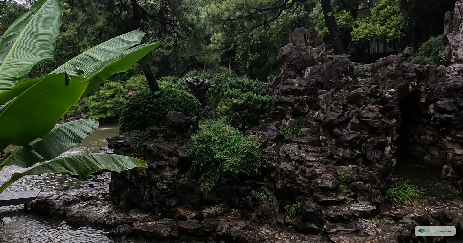A rockery of dark grey eroded stones covered in moss and shrubs beside a pond, a banana plant in the foreground