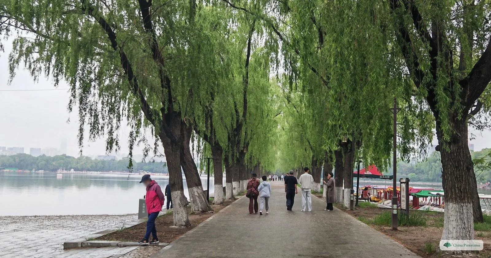 A path under willows beside the lake in Beiling Park, Shenyang, with people walking in the morning