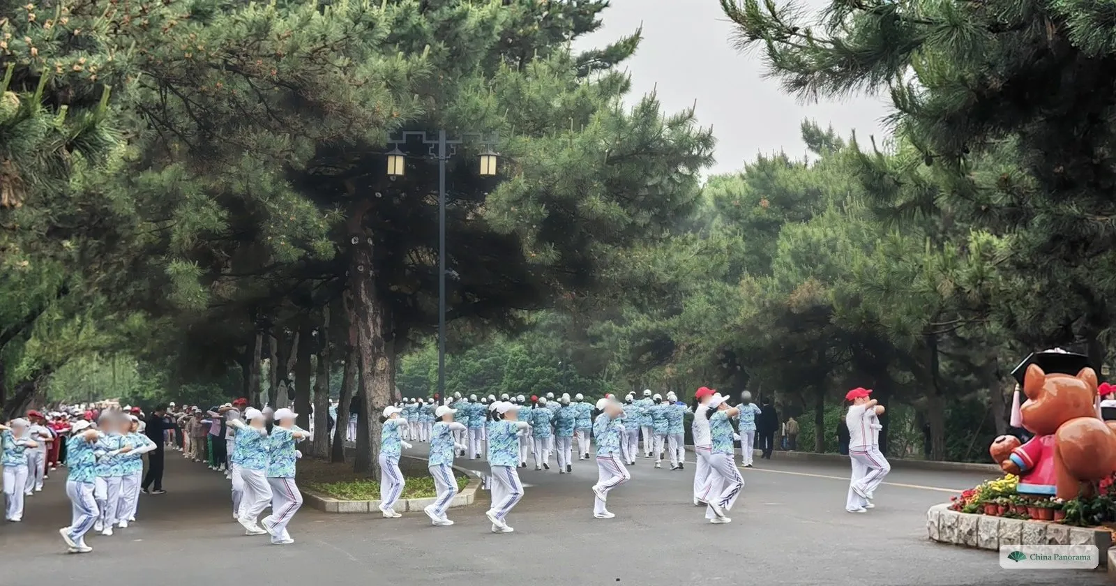 Rows of dancers in matching blue-and-white tracksuits exercising together under pine trees in Beiling Park at seven in the morning