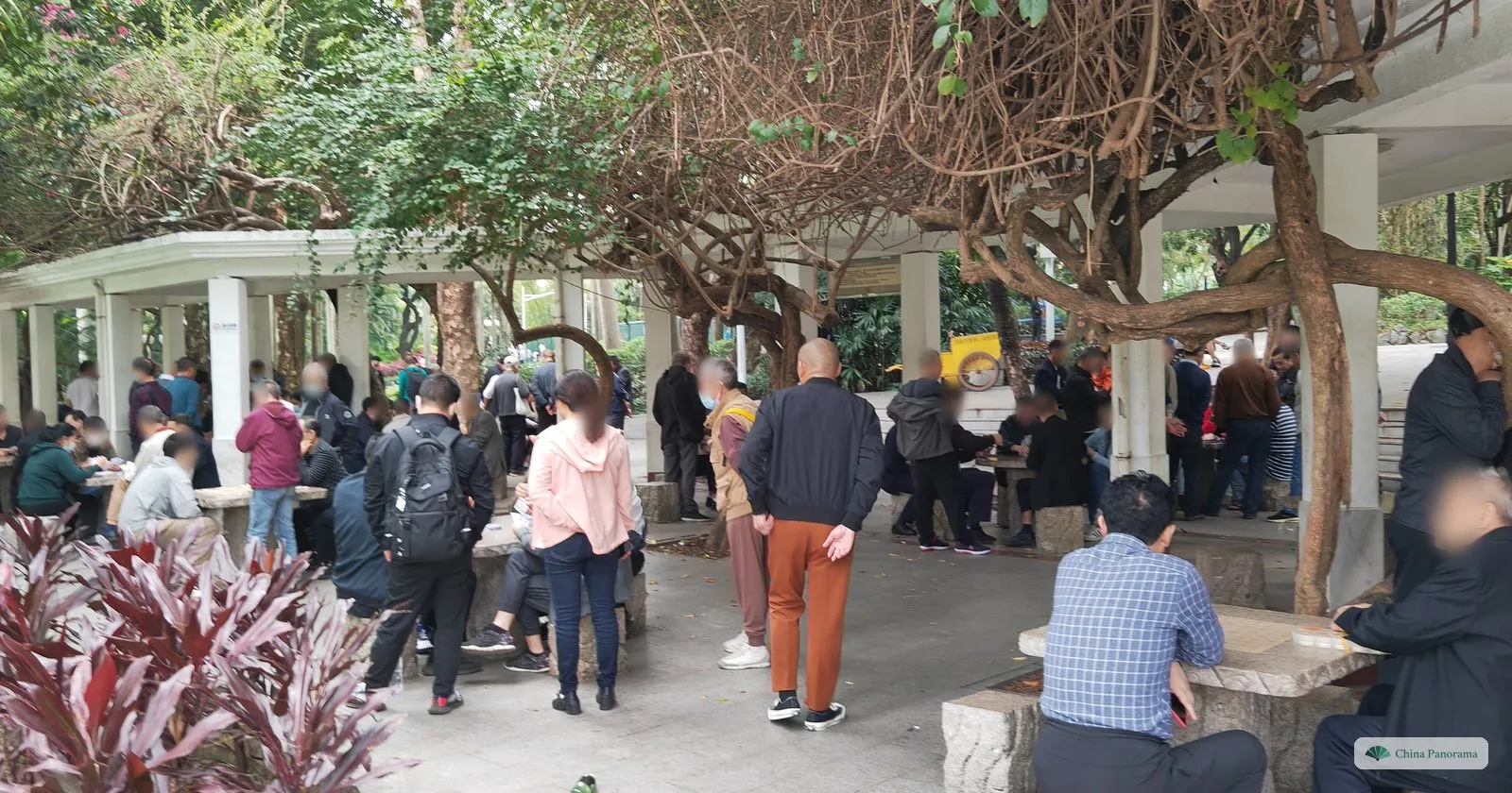 A crowd of people gathered round stone tables under a pavilion in Lizhi Park, playing and watching card games, with red-leaved plants in front