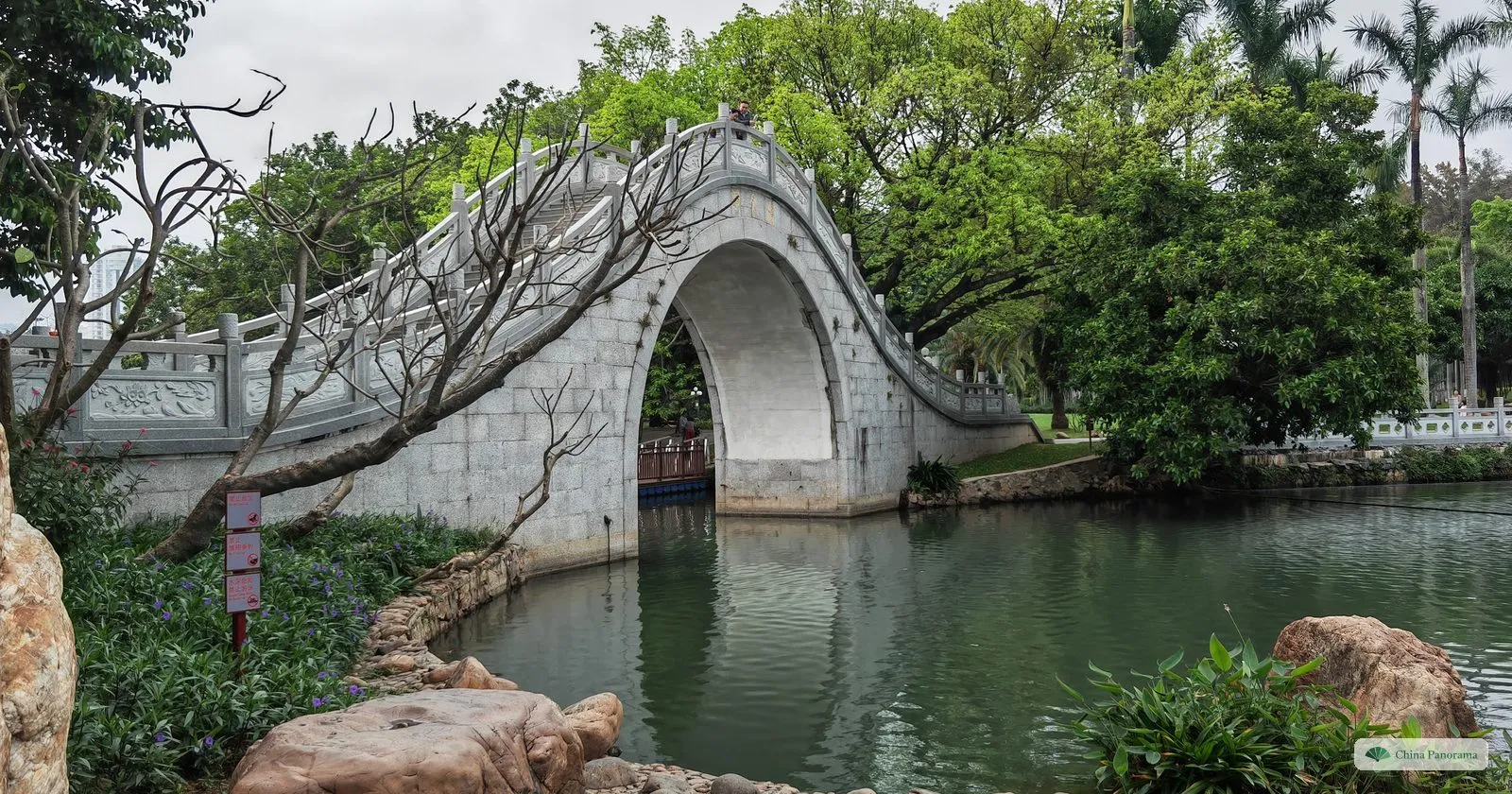 A white stone moon bridge with a high semicircular arch over a green pond in Lizhi Park, with rocks and tropical trees around it
