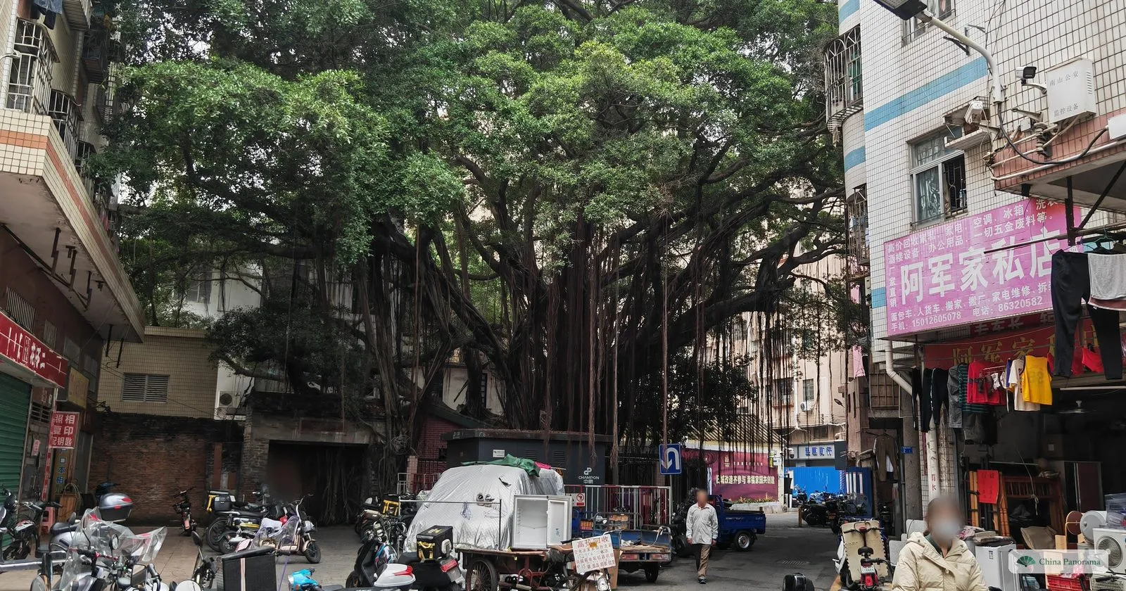 A huge banyan tree spreading over a lane in Nanyuan village, with small shops, parked tricycles and scooters underneath
