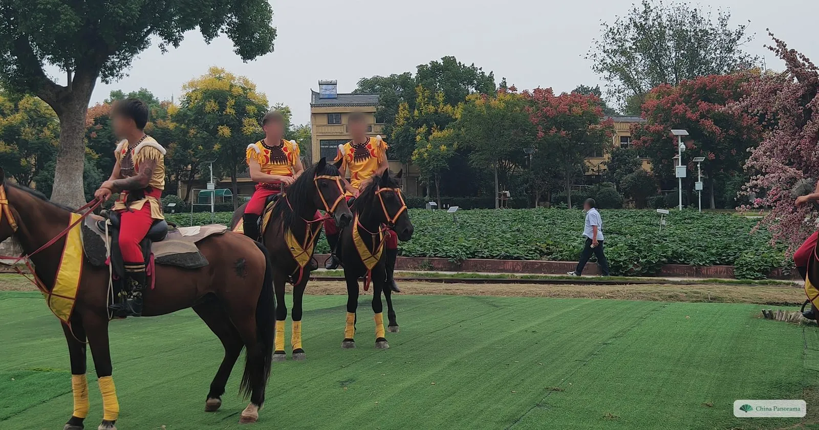 Riders in red and yellow costumes on brown horses on a green lawn, trees in flower behind