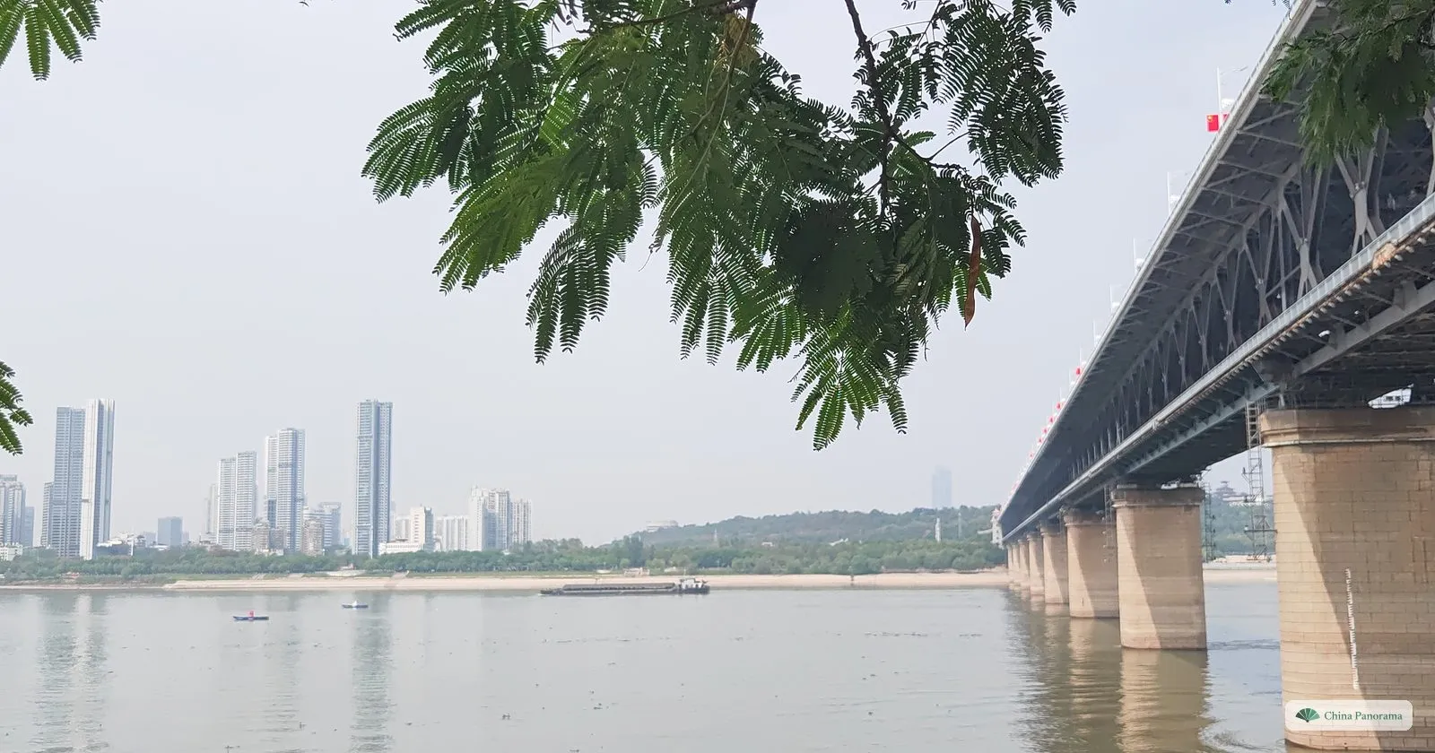 Round stone piers of a steel bridge stepping out across a wide river, feathery leaves hanging in the foreground and towers on the far bank