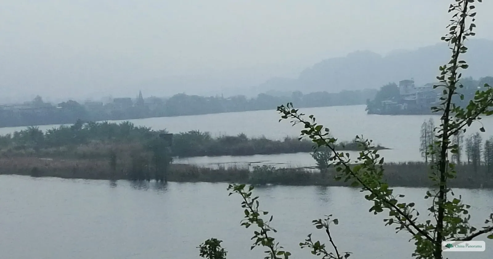 A wide grey river with reedy islands, a row of buildings on the far bank and hills in haze, framed by a thin flowering branch