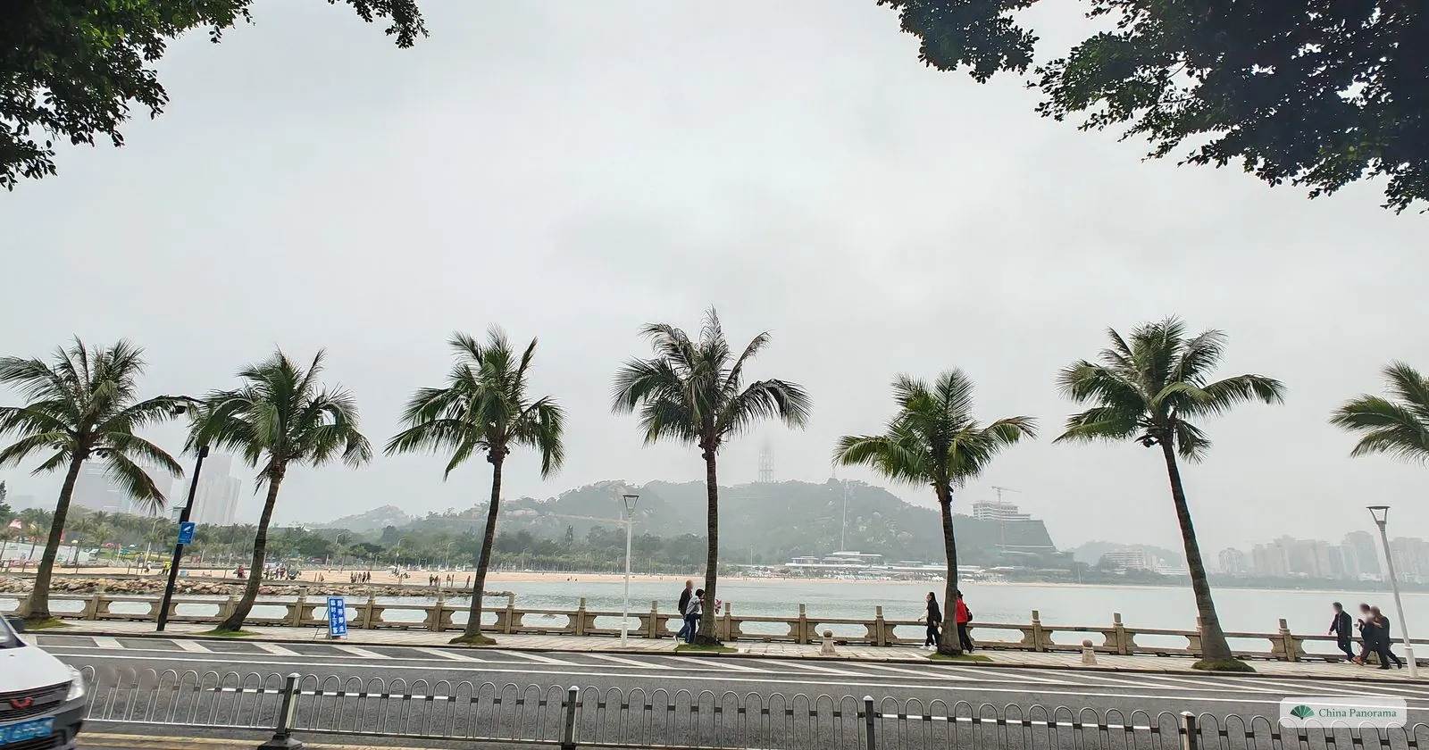 a row of leaning coconut palms along a seafront railing, a road in front and a beach and green hills across the bay
